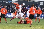 Pars v Dundee Utd. 22nd Jan 2005. Gary Dempsey in the thick of it.